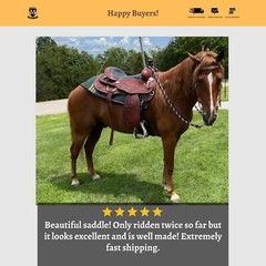 Adults Argentinian Western Trail/Pleasure Horse Saddle with Free Tack set