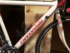 Pick your size Cannondale Bikes Frame Decals Road MTB 33 colors USA Seller!