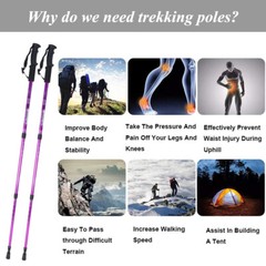 2X Telescopic Walking Trekking Poles Nordic Hiking Sticks Collapsible Alpenstock