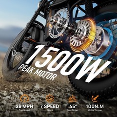 URLIFE 20&Prime;*4.0 Fat Tire Electric Bike for Adult 1500W 48V 15.6AH 28MPH Ebike
