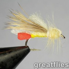 1 dozen (12) – Yellow Sally