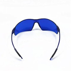 1~50Pack Mushroom Finding & Antler Shed Hunting Blue Hunting Finder Glasses USA