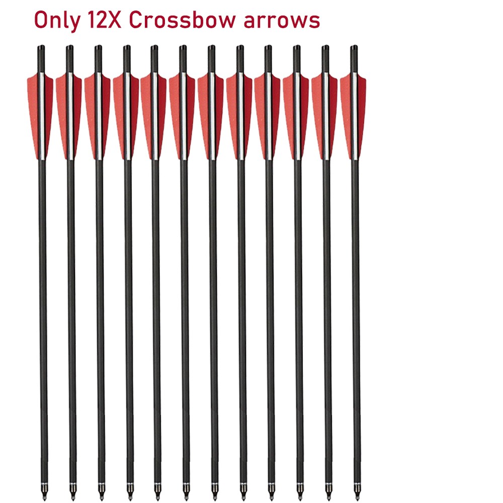 12X Crossbow Bolts 20Inch Carbon Arrows Led Lighted Nocks Crossbow Hunting Shoot