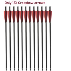 12X Crossbow Bolts 20Inch Carbon Arrows Led Lighted Nocks Crossbow Hunting Shoot
