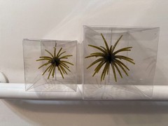 17mm, 19mm, 24mm Fuzzy Ball Coike Fullcast Style Prickly Urchin Fishing Plastic