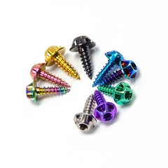 Titanium Self Tapping Screws M4 M5 M6x15/20/25mm Disc Knob Head Flange Torx Head