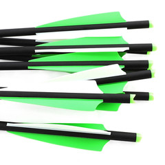 Hunting 20 inch Carbon Crossbow Bolts Crossbow Arrows +/or 100 Grain Broadheads