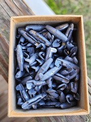 Bluegrass Belknap Hardware Vintage 1/4 Oz Pinch On Sinkers Lead 2.1 Pounds