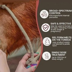 10 Pack New Paste Wormer Horse Dewormer Apple Flavor US Free Shipping EXP01/2028
