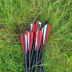 12X Crossbow Bolts 20Inch Carbon Arrows Led Lighted Nocks Crossbow Hunting Shoot