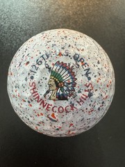 NEW Vice Golf Ball 126th US Open Shinnecock Hills