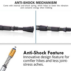 2x Trekking Poles Nordic Walking Hiking Sticks Anti-shock Adjustable Alpenstock