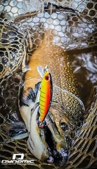 Fishing Lures – Dynamic Lures HD TROUT, Crankbait, 2.25&Prime; Multiple Color Patterns