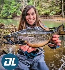Fishing Lures – Dynamic Lures HD TROUT, Crankbait, 2.25&Prime; Multiple Color Patterns