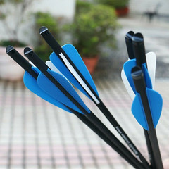 12PCS Crossbow Bolts Hunting 20In Carbon Arrows OD 8.8mm Archery Shooting Target