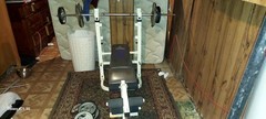 Weider Bench 25 Lb Bar 12,5lb Weights 10 ,10lb 2,20lb 2,25lb, Dumbells 2,20 25