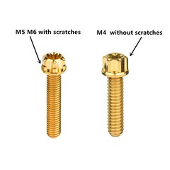 Titanium Bolt M4 M5 M6 10-30mm Flange Torx Screw Ti Alloy Fasteners for Bicycle