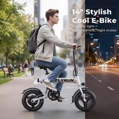 14&Prime;Folding EBike Peak 500W 36V Electric Bicycle Commuter City E Bike for Adults