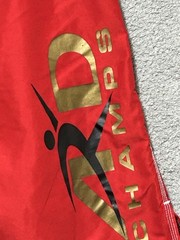 Ard Champs Kick Boxing MMA Shorts Fighter Grappling Muay Thai Men&rsquo;s Shorts Sz XL