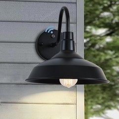 Outdoor Gooseneck Barn Lights with Dusk to Dawn Sensor, 10.6inch Black Farmho…