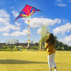 Large Rainbow Delta Kite 160cm with 6m Tail & 50m Flying Line Outdoor Kids Adult