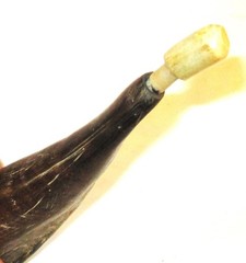Unusual Black Powder / Muzzle Loader Powder Horn and the Age is Unknown