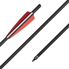 12X Crossbow Bolts 20Inch Carbon Arrows Led Lighted Nocks Crossbow Hunting Shoot