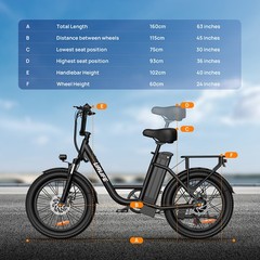 URLIFE 20&Prime; Fat Tire Electric Bike for Adult 1000W 48V13AH Electric Bicycle Ebike