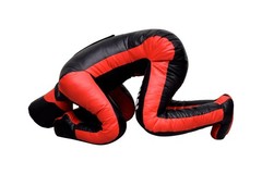 PGS MMA Grappling Dummy Judo PunchingBag BJJ Wrestling Sitting Position Training