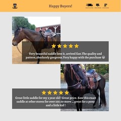 Adults Argentinian Western Trail/Pleasure Horse Saddle with Free Tack set