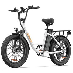 URLIFE 20&Prime; Fat Tire Electric Bike for Adult 1000W 48V13AH Electric Bicycle Ebike