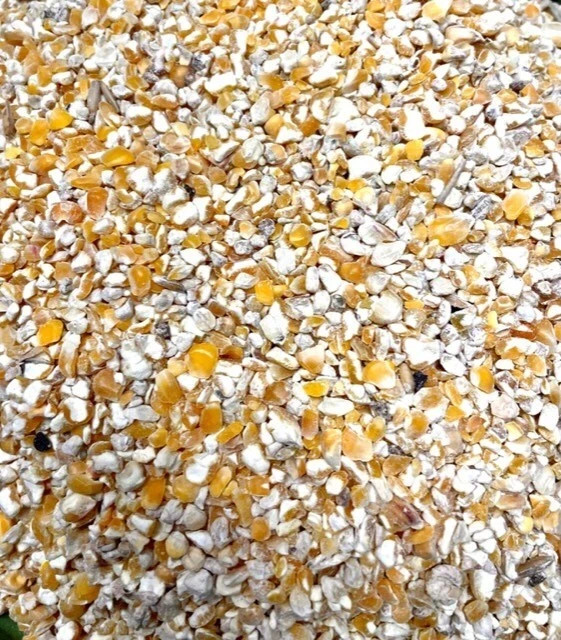 1.5kg Carp particle Kibbled Cut Split Maize great particle chicken treat