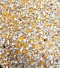 1.5kg Carp particle Kibbled Cut Split Maize great particle chicken treat