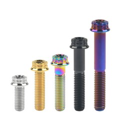 Titanium Bolt M6x10 15 20 25 30 35 40 45 50mm T30 Torx Head Flange Screw