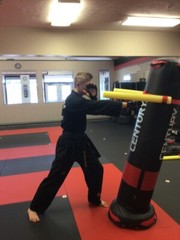 MMA, Boxing Heavy Punching Bag Bully Arm Attachment