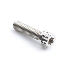 Titanium Bolt M4x10 15 20 25 30mm Flange Torx Head Screw with &lsquo;W&rsquo; Logo Fasteners