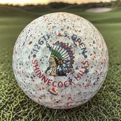 NEW Vice Golf Ball 126th US Open Shinnecock Hills