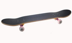 Full Size Standard Maple Deck Skateboard – Purple