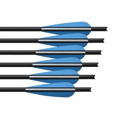 12PCS Crossbow Bolts Hunting 20In Carbon Arrows OD 8.8mm Archery Shooting Target