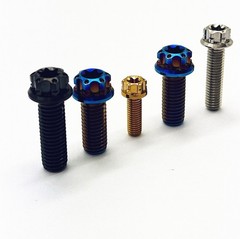 Titanium Bolt Flange Torx Screw Grade 5 For Motorcycle M4 M5 M6 M8
