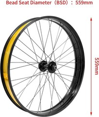 ZTZ 20/26 x 4.0 inch Fat Tire Bike Front Wheel, Aluminum Alloy Bike Rim