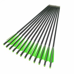 Hunting 20 inch Carbon Crossbow Bolts Crossbow Arrows +/or 100 Grain Broadheads