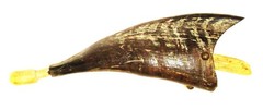 Unusual Black Powder / Muzzle Loader Powder Horn and the Age is Unknown
