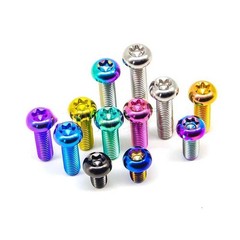 12Pcs Rainbow M5x10mm Titanium/Ti Bolts Torx T25 Head Disc Brake Rotor Bolts
