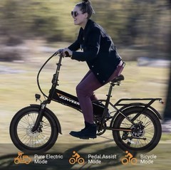 Zonveer Black E-bike 750W 48V 20Ah Foldable 25+MPH, 40Miles Range, 20in Tires