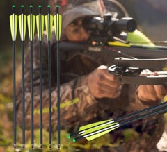 12pcs 20 inch Crossbow Bolts Carbon Crossbow Arrows / 12pcs 100 grain Broadheads