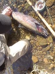 Irideus Wooly Bugger Fat Boy Streamer Flies Big Trout Flies River Steelhead Fry