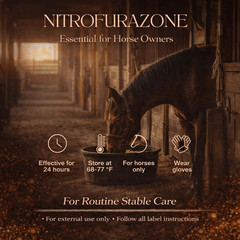 Equine Topical Care Ointment for Horses, Nitrofurazone, 1 lb