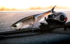 Berkley Powerbait Nessie Soft Plastic Glide Bait 5In Realistic Fishing Lure