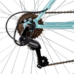 26&Prime; Rock Creek Mountain Bike, Linear-Pull Brakes, Adult, Women&rsquo;s, Mint